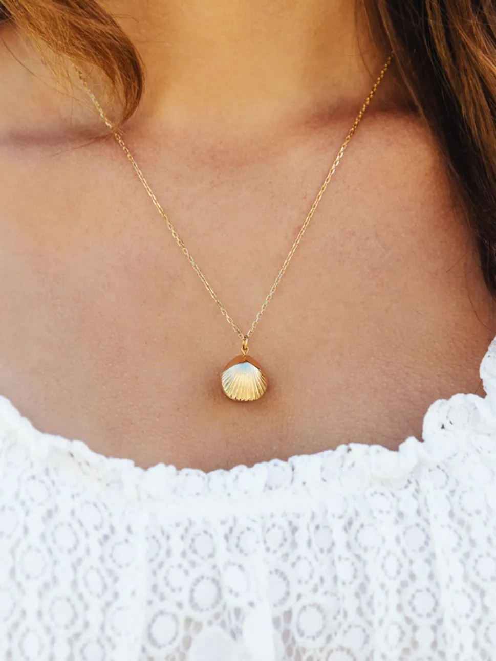 Little Shellfish