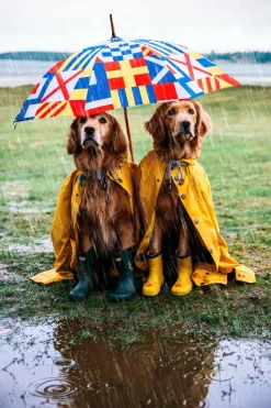 The Maritime Umbrella